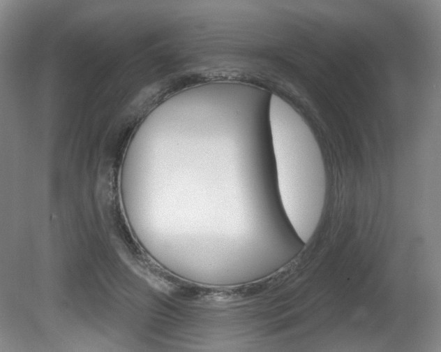 X0000081560498200701151003