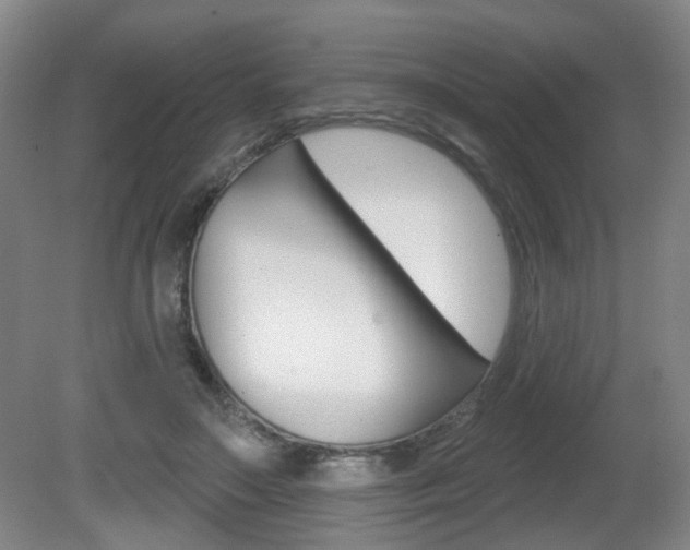 X0000081560499200701151003