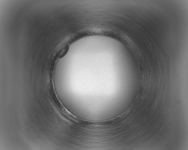 X0000081560500200701151003