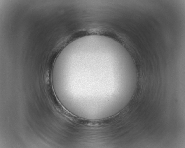 X0000081560502200701151003