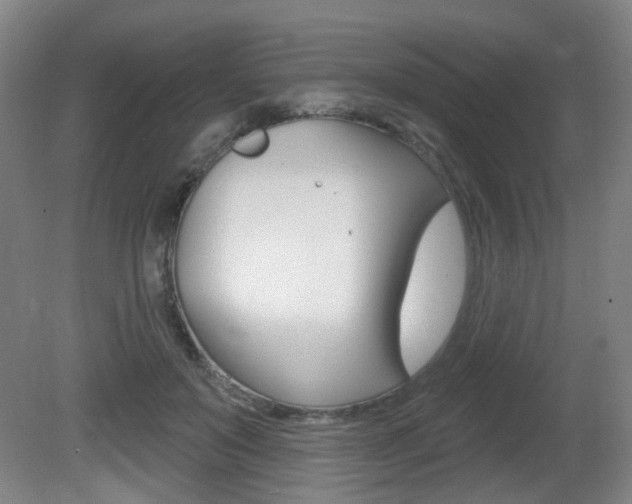 X0000081560503200701151003