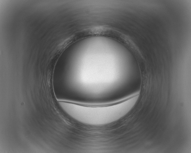 X0000081560505200701151003