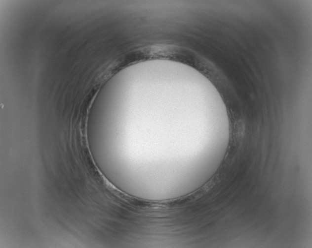 X0000081560506200701151003