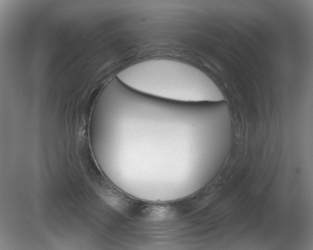 X0000081560507200701151003