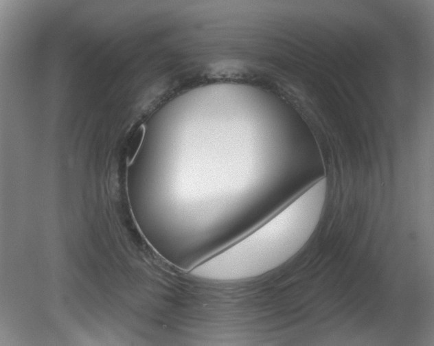 X0000081560508200701151003