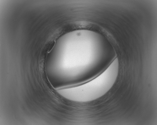 X0000081560509200701151003