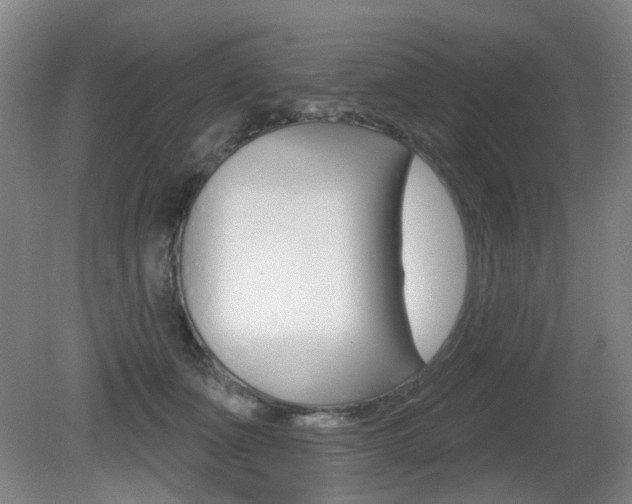 X0000081560511200701151003