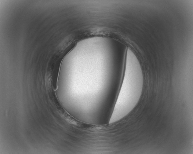 X0000081560513200701151003
