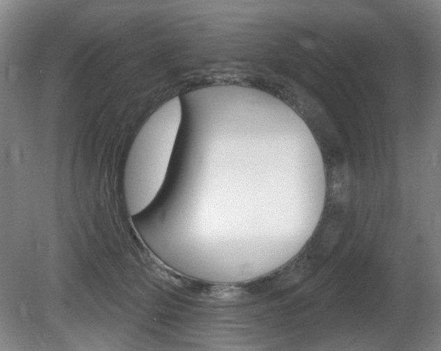 X0000081560514200701151003