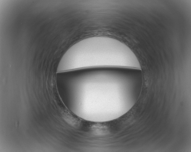 X0000081560515200701151003