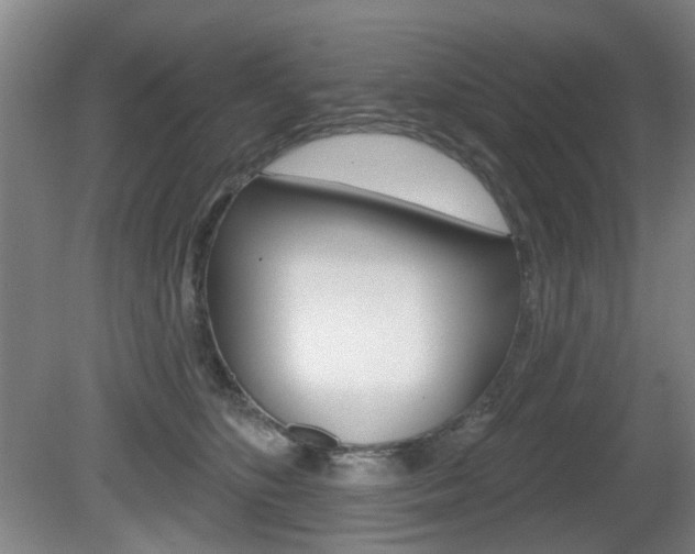 X0000081560516200701151003