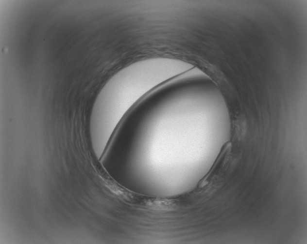 X0000081560517200701151003