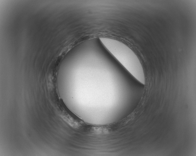 X0000081560520200701151003