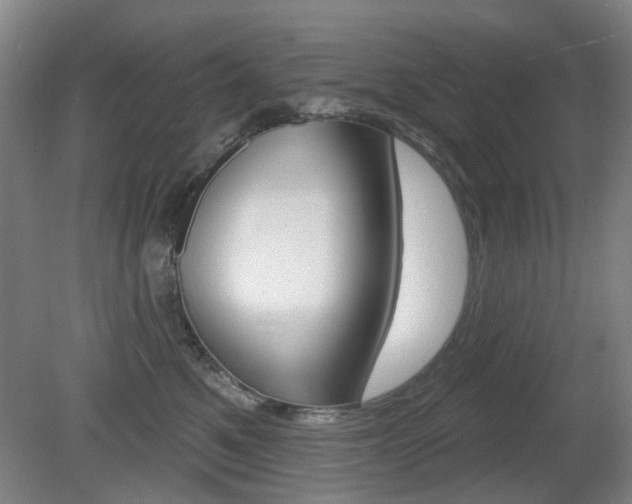 X0000081560521200701151003