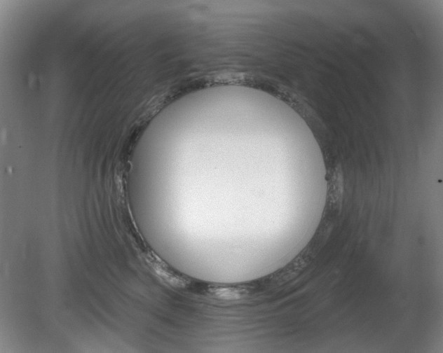 X0000081560522200701151003