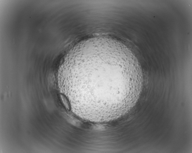 X0000081560523200701151003