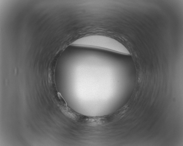 X0000081560524200701151003
