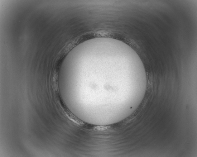 X0000081560526200701151003