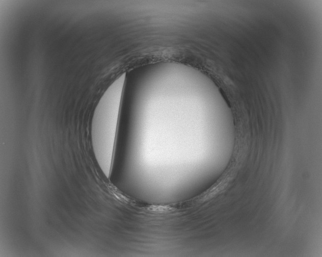 X0000081560528200701151003