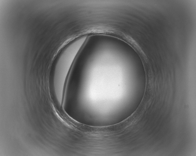X0000081560530200701151002