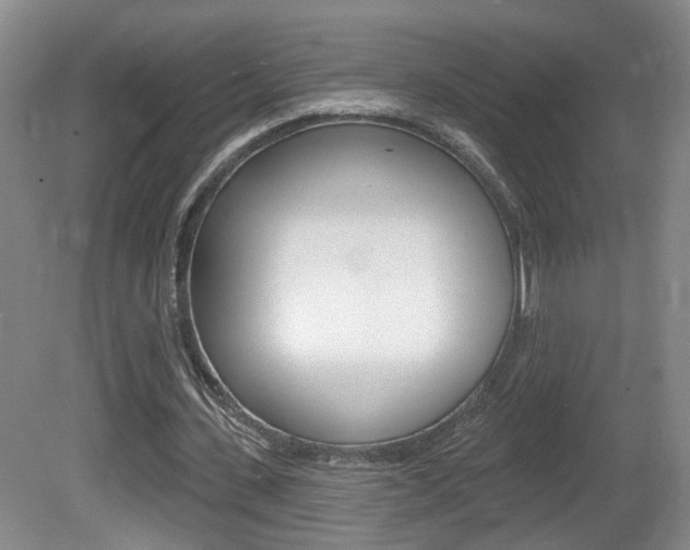 X0000081560531200701151002