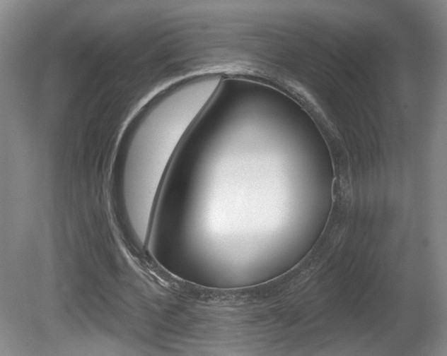 X0000081560532200701151002