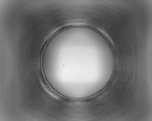 X0000081560533200701151002
