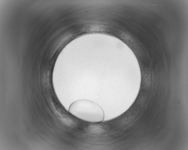 X0000081560534200701151002