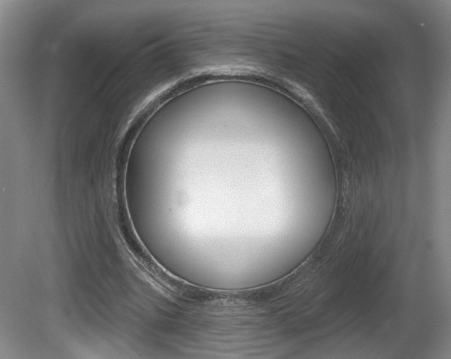 X0000081560535200701151002