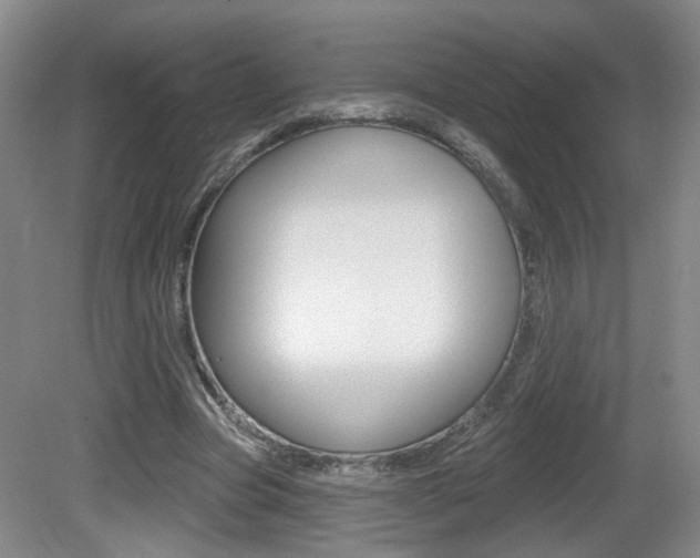 X0000081560537200701151002
