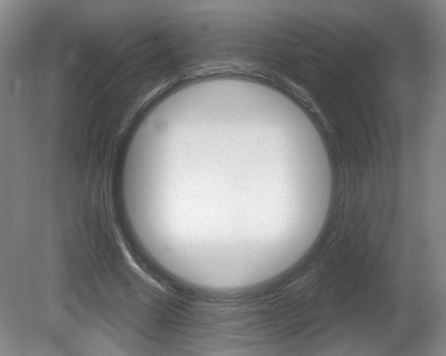 X0000081560538200701151002