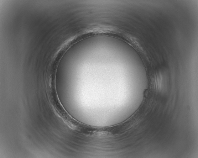 X0000081560539200701151002