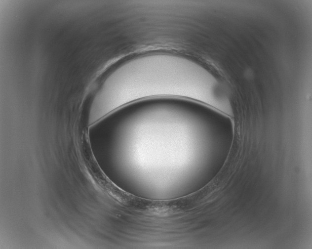 X0000081560540200701151002