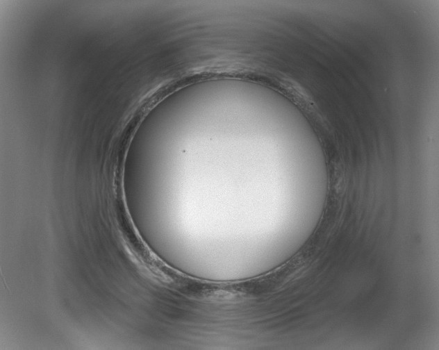 X0000081560542200701151002