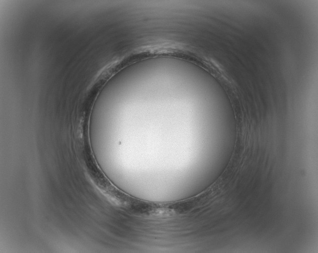 X0000081560543200701151002