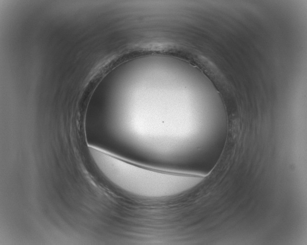 X0000081560544200701151002