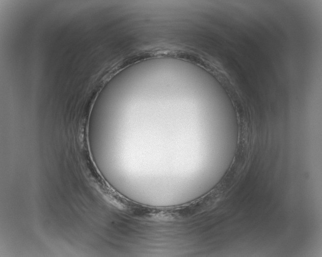 X0000081560545200701151002