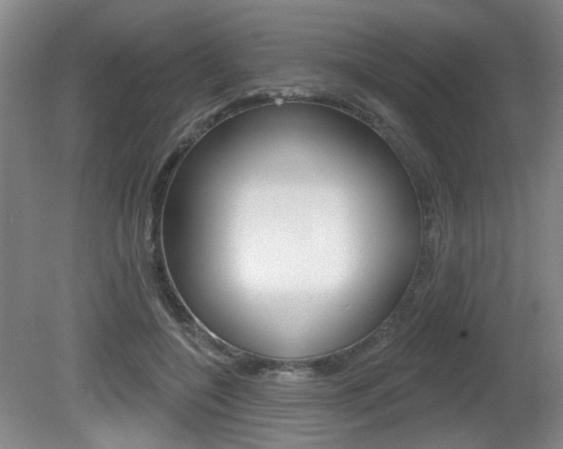 X0000081560548200701151002