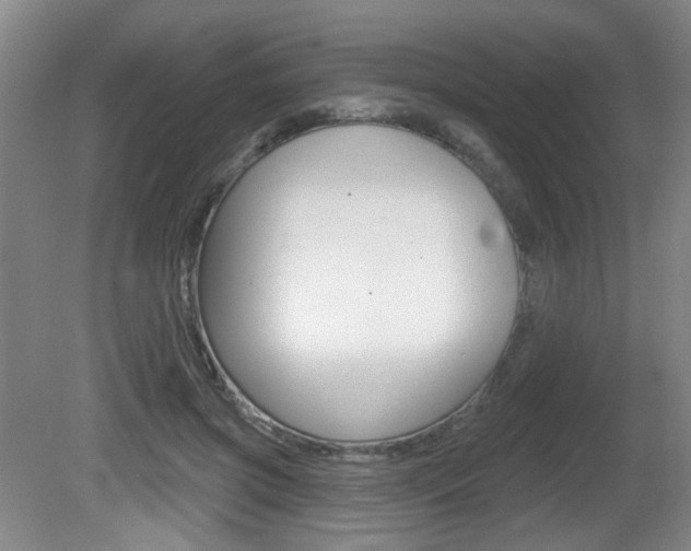 X0000081560549200701151002