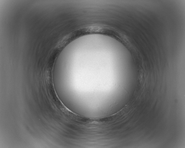 X0000081560551200701151002