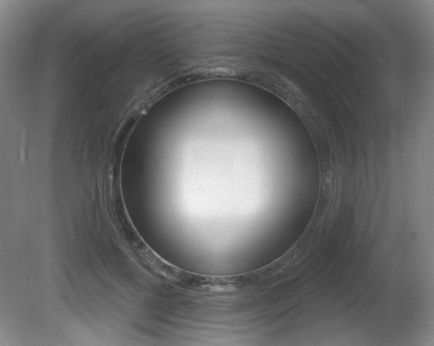 X0000081560552200701151002