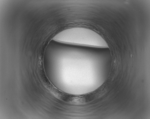 X0000081560555200701151002