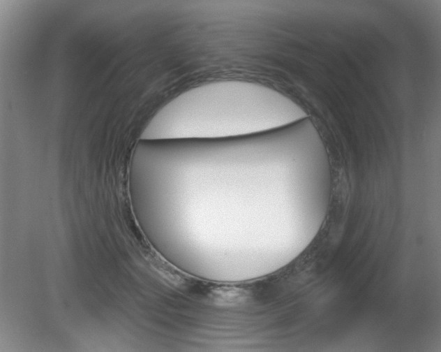 X0000081560557200701151002