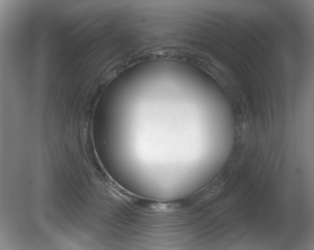 X0000081560558200701151002