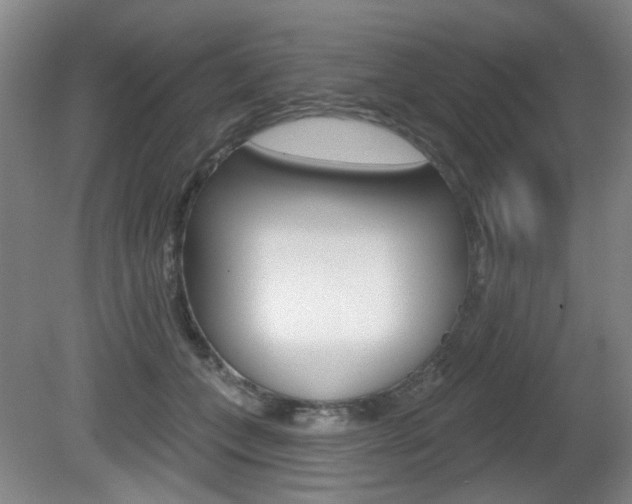 X0000081560559200701151002