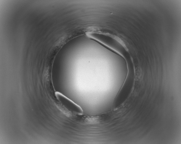 X0000081560560200701151002