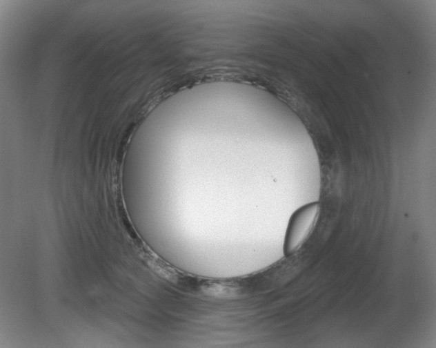 X0000081560561200701151002
