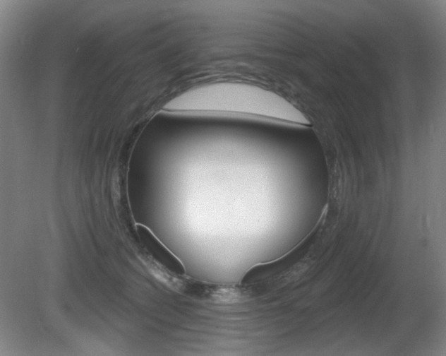 X0000081560562200701151002