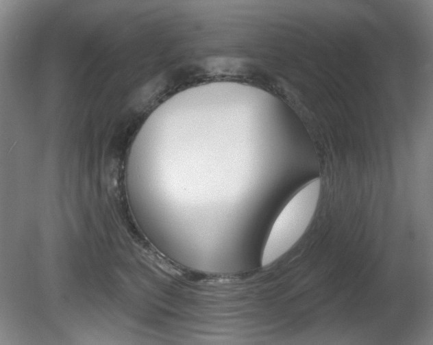 X0000081560567200701151003