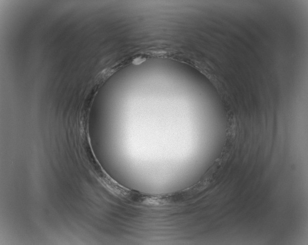 X0000081560568200701151003